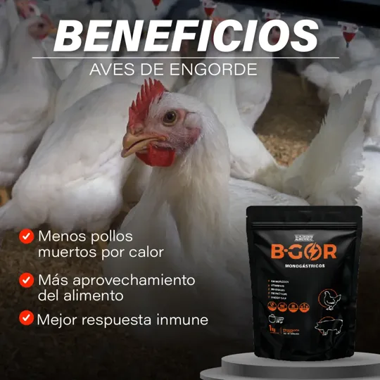 Beneficios para pollos
